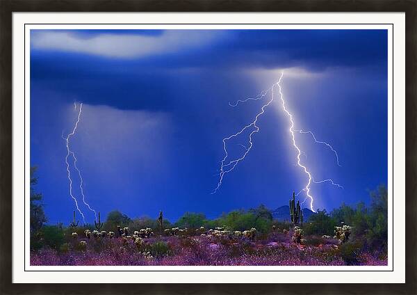 Gallery quality fine art photography wall art